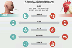 深圳市中医院公布预防感染H7N9禽流感处方