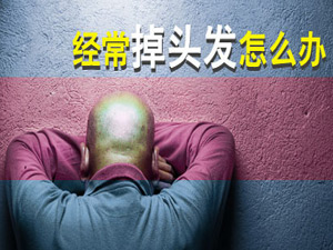 经常掉头发