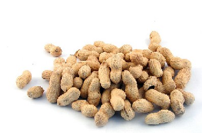 坚果类食品有哪些
