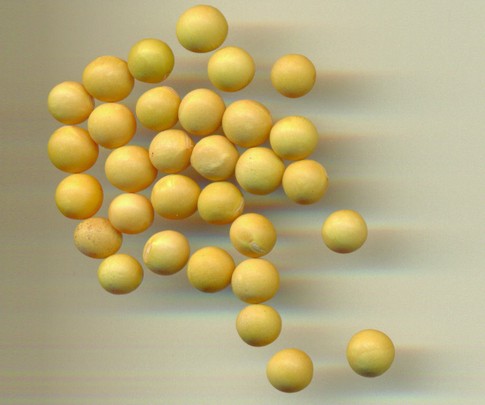 aa92f614744_2.jpg