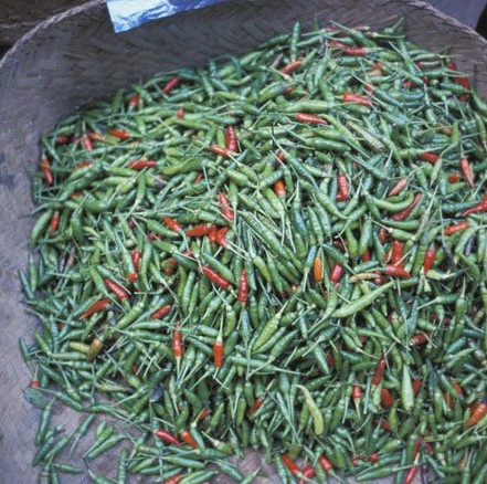 吃哪些食物可以美容 吃哪些食物可以美容