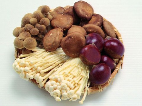 丰胸佳品 呵护乳房的九类食物 丰胸佳品 呵护乳房的九类食物