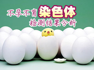染色体检查分析
