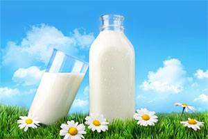纯牛奶有何营养价值呢？