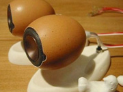 鸡蛋壳有什么用处?盘点鸡蛋壳的妙用