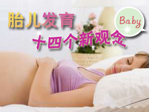 胎儿发育新观念