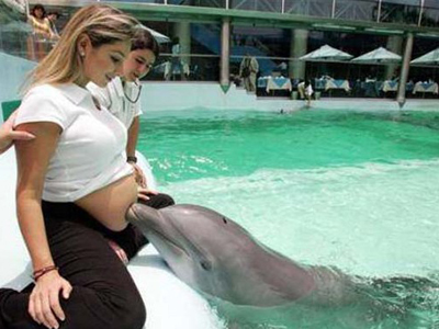 秘鲁的海豚疗法
