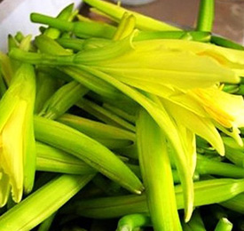 饮食警惕　四种菜天生有毒
