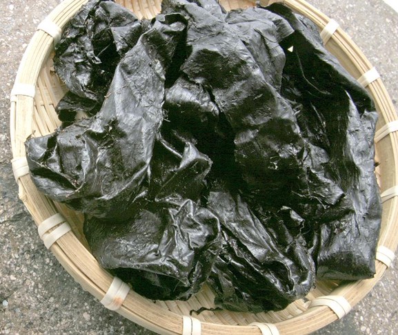 舌尖上健康 把美味与健康一起吃到肚子里 舌尖上健康 把美味与健康一起吃到肚子里
