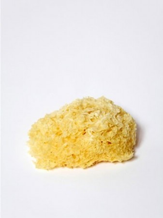 16种常见食物 有了这些变化千万不要吃! 16种常见食物 有了这些变化千万不要吃!
