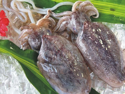 最吸脂的15种神奇食材 刮去你的赘肉 最吸脂的15种神奇食材 刮去你的赘肉