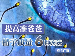 提高精子质量