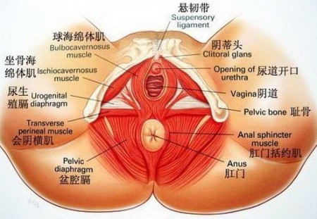 性秘密让人脸红心跳 你的高潮谁人能懂？