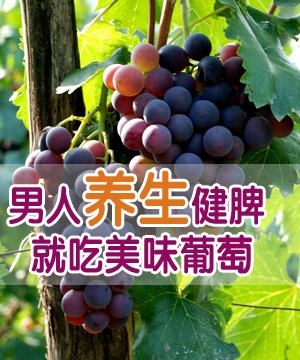 男人养生健脾 就吃美味葡萄