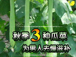 三瓜祛燥滋补