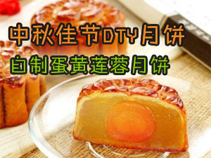 中秋节DTY月饼 