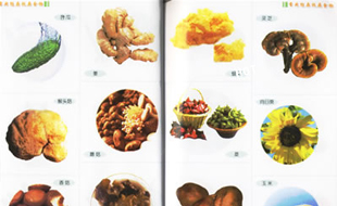 九类最具防癌效果的食物