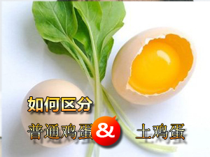 土鸡蛋和普通鸡蛋如何区分