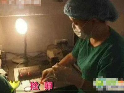 揭秘:人工授精全过程(组图)