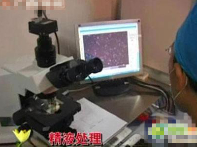 揭秘:人工授精全过程(组图)