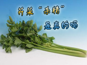 芹菜杀精真的吗