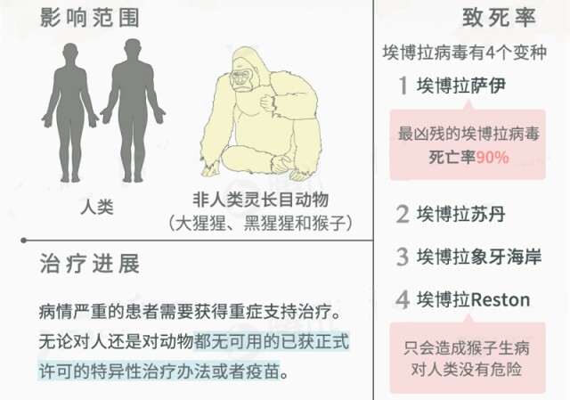 埃博拉病毒的全面解析（12图解）