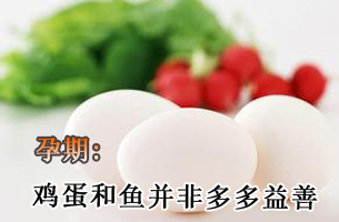 孕期：鸡蛋和鱼并非多多益善