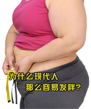 为什么现代人那么容易发胖？