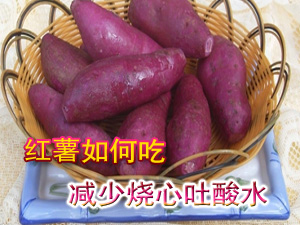 吃红薯的技巧