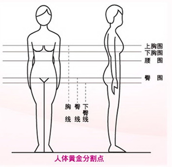 中国女性完美胸围计算公式中国人审美标准的胸围