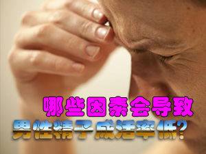 精子成活率低因