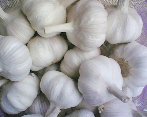 预防癌症的食物 八种食物预防八种癌症预防癌症的食物 八种食物预防八种癌症