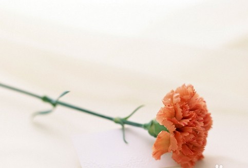 母亲节送什么礼物好