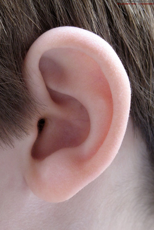 耳什么离腮成语_耳下腮部有肿块是什么