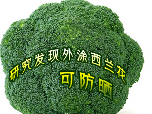 西兰花可防晒