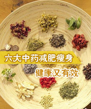 六大中药减肥瘦身 健康又有效