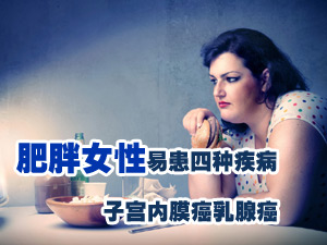 肥女易患妇科病