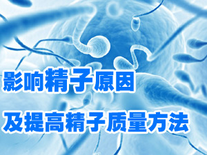提精子质量方法