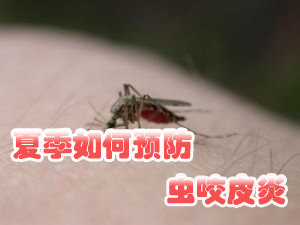 如何防虫咬皮炎