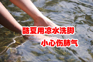 酷夏养生法