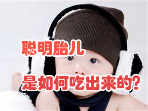 智力食谱