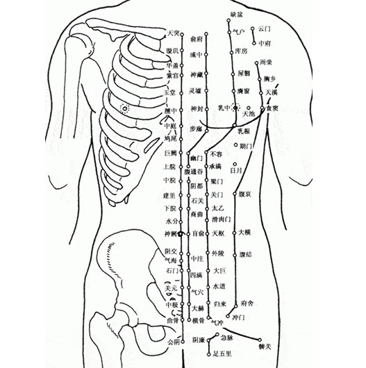 人体全身各部位穴位图示