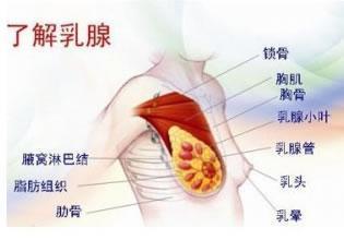 怎样早发现乳腺癌?早治疗