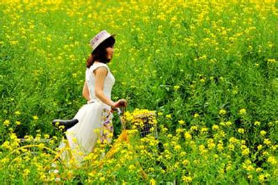 清明节七大习俗 扫墓 踏青 清明节七大习俗 扫墓 踏青