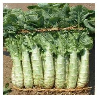 夏季祛湿消肿 多吃八种食物 夏季祛湿消肿 多吃八种食物