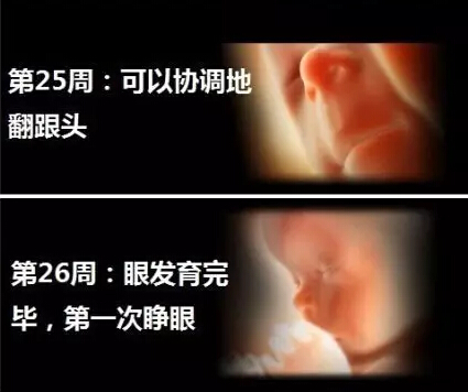 神奇的胎儿宫内40周 绝对震撼你的心灵神奇的胎儿宫内40周 绝对震撼你的心灵