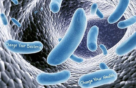 人体细菌群落十大鲜为人知的秘密人体细菌群落十大鲜为人知的秘密
