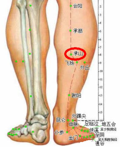 常按这两大穴位治痔疮 长强+承山穴