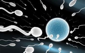 男人每天可产生多少个精子 上亿个精子