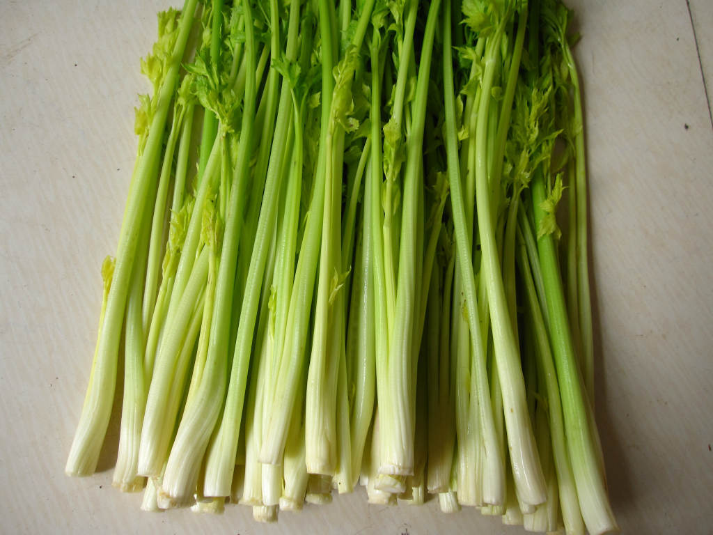 怎样瘦腿最快最有效 15种美食告别“大象腿”